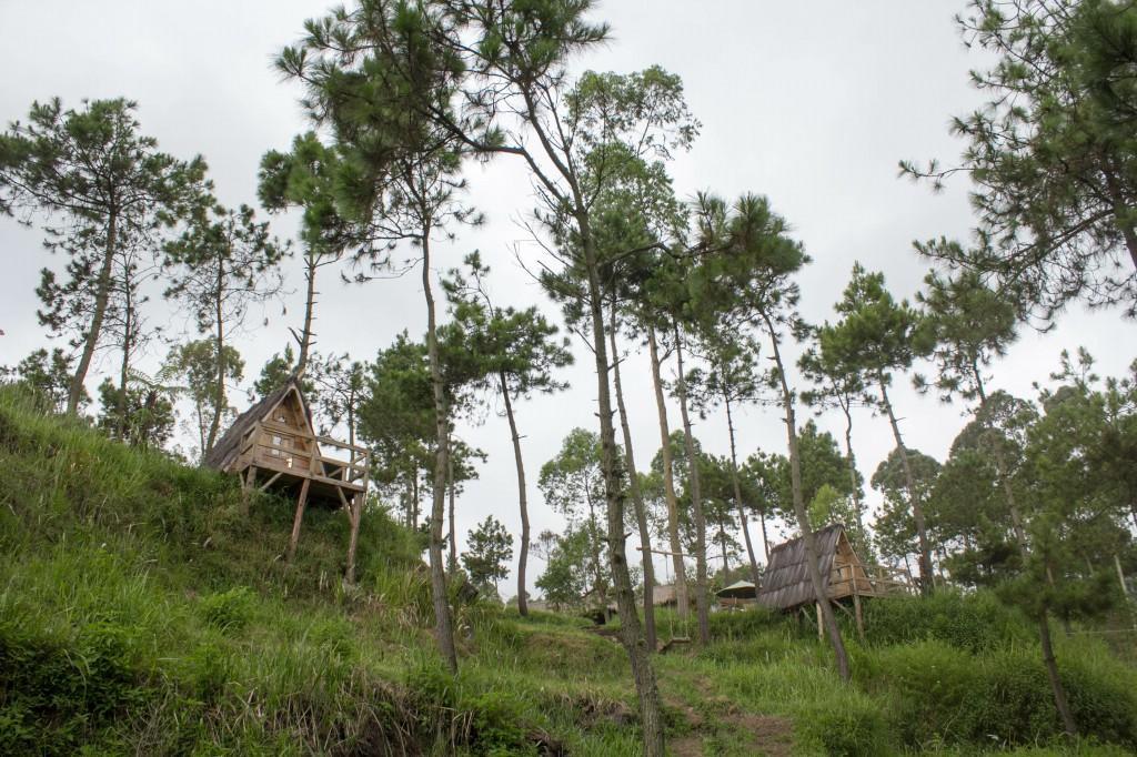 Hotel Papandayan Camping Ground Cileuleuy Exterior foto