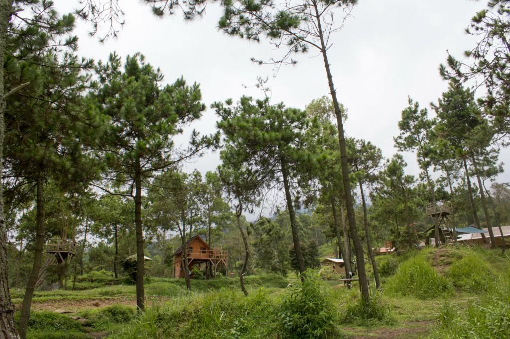 Hotel Papandayan Camping Ground Cileuleuy Exterior foto